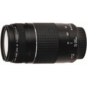 Canon Objectief EF 75-300mm f/4-5.6 III