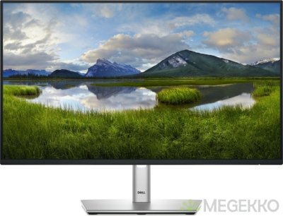 Dell P Series Monitor P2425H - 24" - Full HD